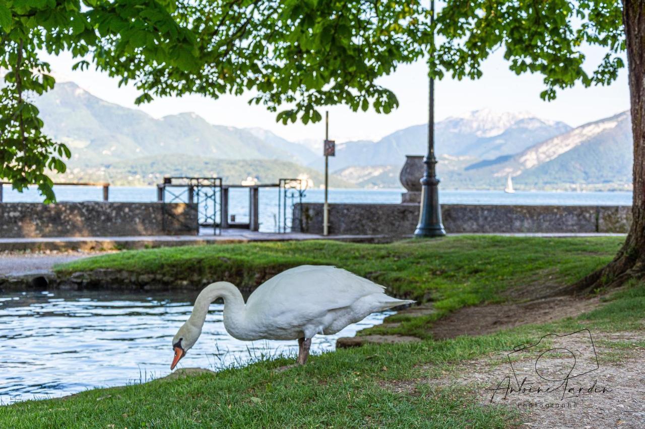 L'Amedee - Appt A 500M Du Lac Annecy Buitenkant foto
